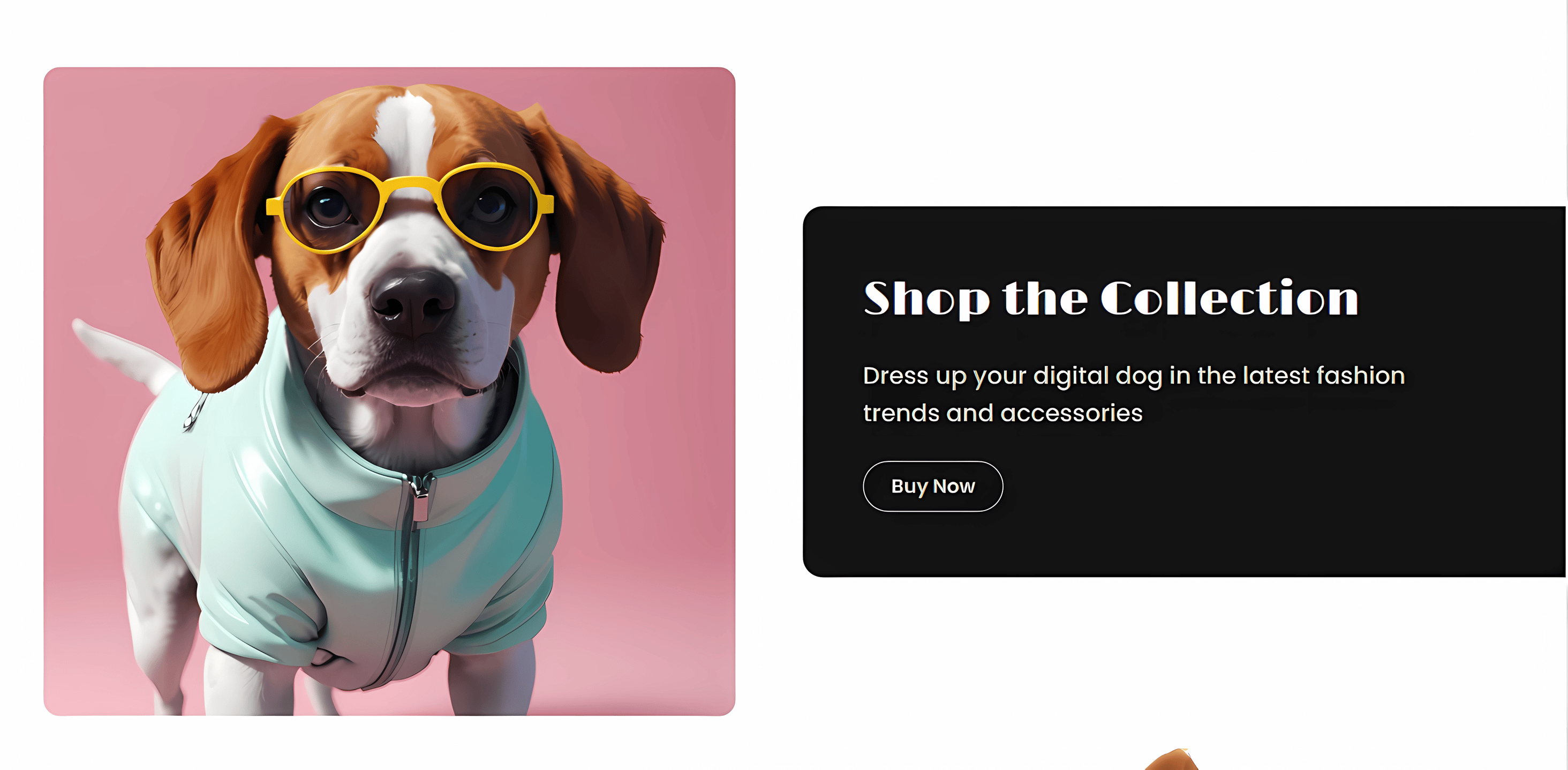 Website of PawStyle
